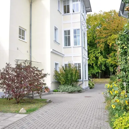 Bansin, An Der Waldstrasse * Heringsdorf (Usedom)